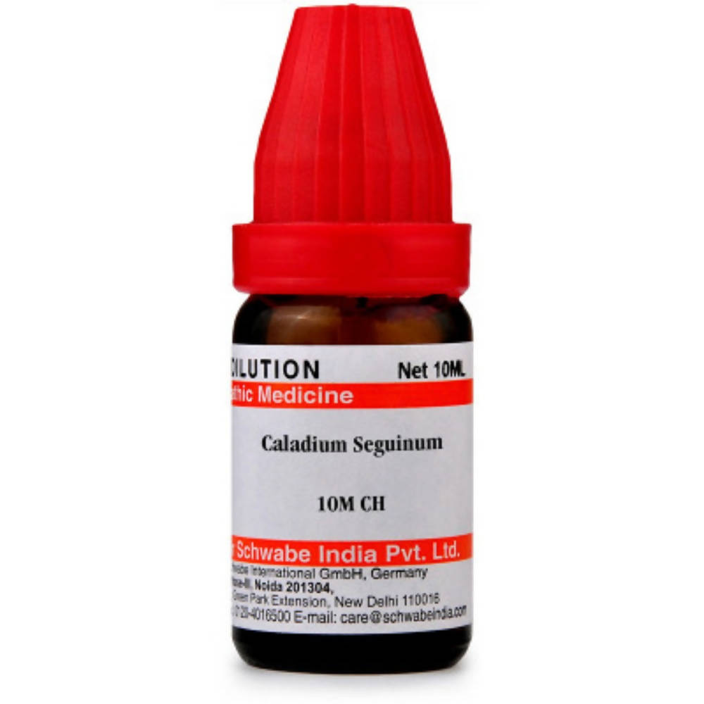 Dr. Willmar Schwabe India Caladium Seguinum Dilution - Swadesiicart