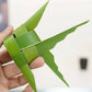 Shuddh Natural Hand Made Palm Leaf Fish & Lotus Hanging | Swadesiicart