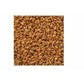 Fenugreek/ Methi - Swadesiicart