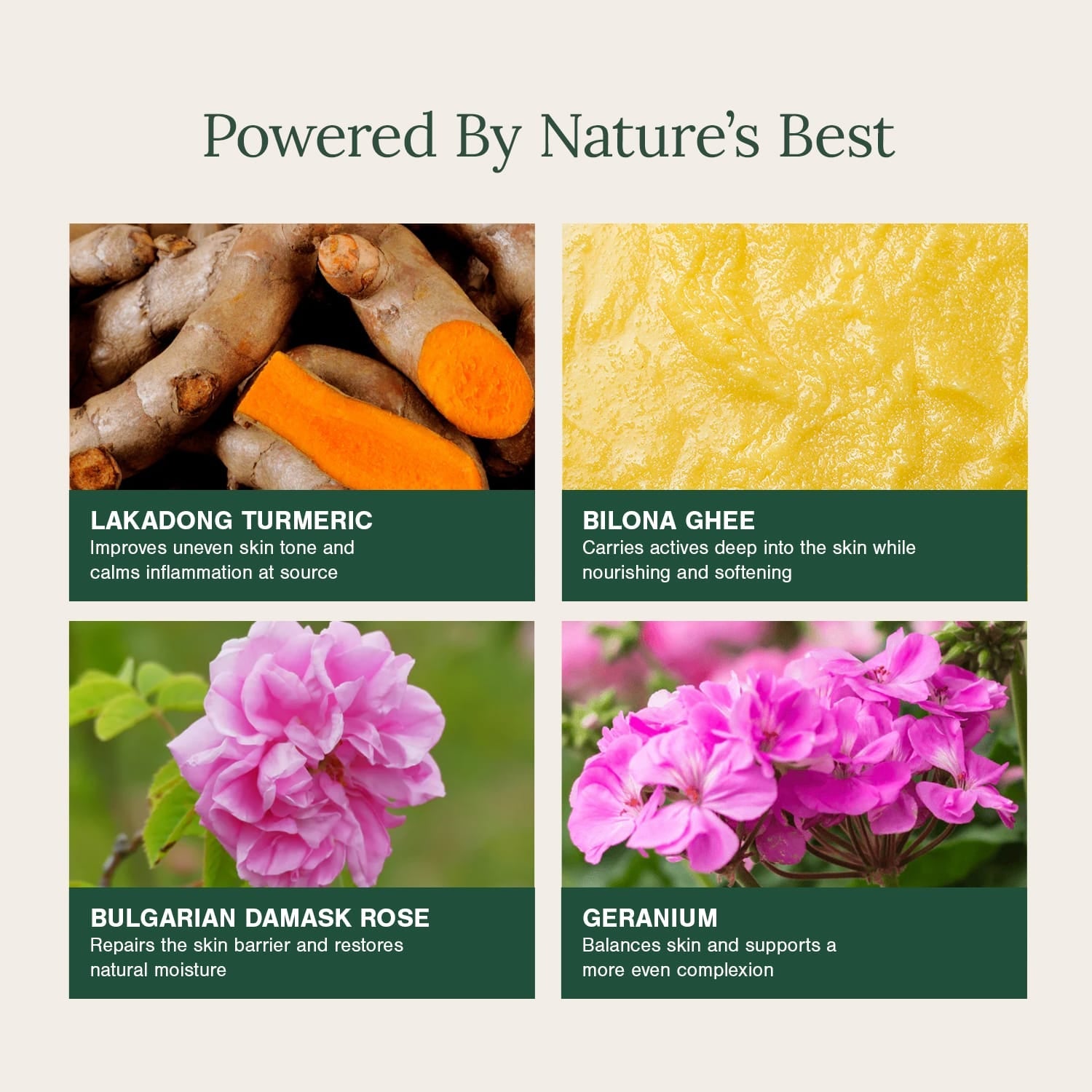 Cold-processed Organic Soap Bar Fortified with Lakadong Turmeric, Ghee & Rose