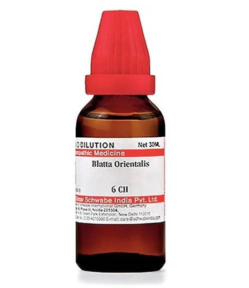 Dr. Willmar Schwabe India Blatta Orientalis Dilution | Swadesiicart