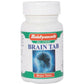 Baidyanath Jhansi Brain Tab Tablets - Ayurvedant Pvt. Ltd.