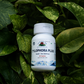 Tylophora Plus – Respiratory Support