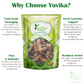 Yuvika Marod Phali - Marori - Helicteres Isora - Avaitini Screw Beans | Swadesiicart
