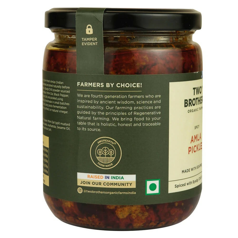 Two Brothers Organic Farms Spicy Amla Pickle - Swadesiicart