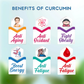 Rajasthan Herbals Curcumin Capsules | Swadesiicart