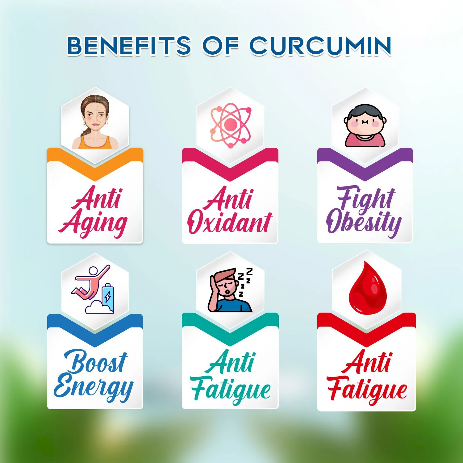 Rajasthan Herbals Curcumin Capsules | Swadesiicart