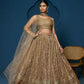 Brown Soft Netzari Embroidery Work Lehenga Choli - Jihu Culture