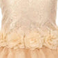 Asmaani Baby Girl's Gold Color Satin A-Line Frock (AS-DRESS-22132)