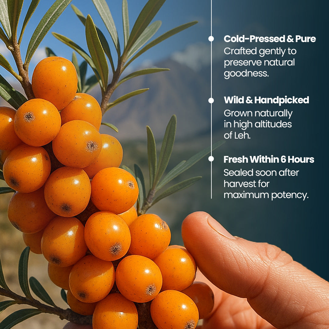 Krishna'S Herbal & Ayurveda Sea Buckthorn Juice | Swadesiicart