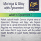 Care Moringa & Giloy Green Tea Bags with Spearmint
