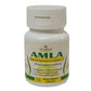 Deep Ayurveda Amla 500mg Veg Capsules - DEEP AYURVEDA