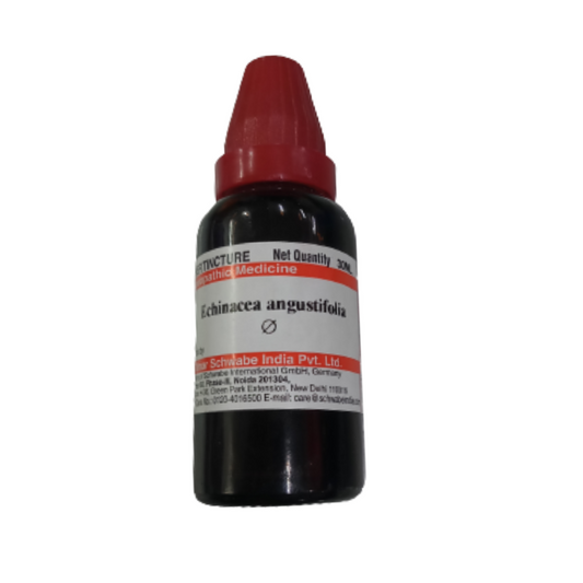 Dr. Willmar Schwabe India Echinacea Angustifolia Mother Tincture Q - Swadesiicart