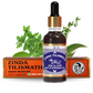 Zinda Tilismath Herbal Unani Remedy | Swadesiicart