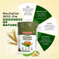 Patanjali Nutrela Green Plant Protein Chocolate | Vegan Protein Powder with Ayurvedic Herbs - Swadesiicart