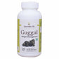 Ayurvedic Life Guggul Tablets | Swadesiicart