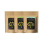 Dark Forest Rasayan Churna (Giloy,Gokhru,Amla) - 600g | Swadesiicart