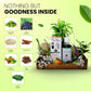 Anand Herbal Hair Oil