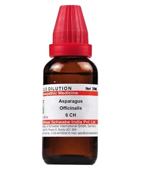 Dr. Willmar Schwabe India Asparagus Officinalis Dilution | Swadesiicart