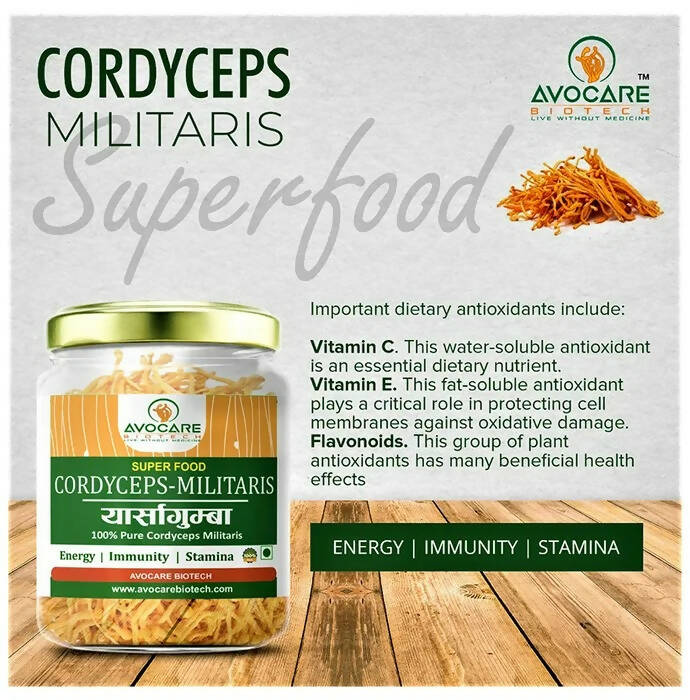 Avocare Biotech Cordyceps Militaris | Swadesiicart