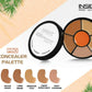 Insight Cosmetics Pro Concealer Palette-Concealer - Swadesiicart