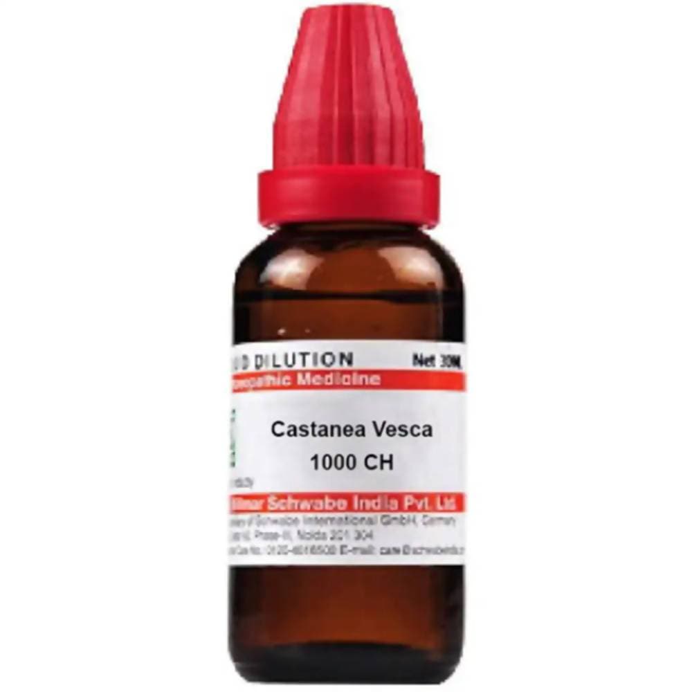 Dr. Willmar Schwabe India Castanea Vesca Dilution | Swadesiicart
