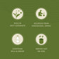 Chiran Instant Matcha Latte Premix Sachets | Swadesiicart