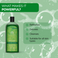The Man Company Aloe Vera & Matcha Body Wash For Glowing & Smooth Skin Enriched With Green Tea & Moringa Leaf Extract | Swadesiicart