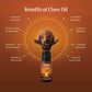 Dwibhashi Clove Oil (Lavanga Taila)