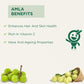 Vitro Naturals I Am Super Herb Amla Powder | Swadesiicart