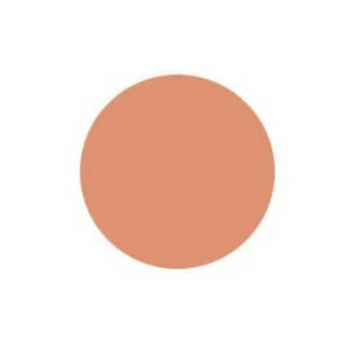 Innisfree My Foundation 3.1 - W33 Chestnut - Swadesiicart