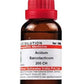 Dr. Willmar Schwabe India Acidum Sarcolacticum Dilution | Swadesiicart