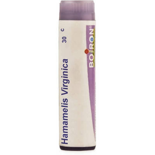 Boiron Homeopathy Hamamelis Virginica | Swadesiicart