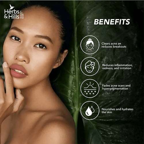 download - 2025-04-25T164410.641