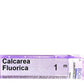 Boiron Homeopathy Calcarea Fluorica | Swadesiicart