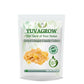 Yuvagrow Dried Ginger Cubes - YUVAGROW