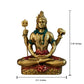 Saugat Traders Lord Shiva Idol - Swadesiicart