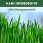 Herbal Hills Ayurveda Wheatgrass Tablets