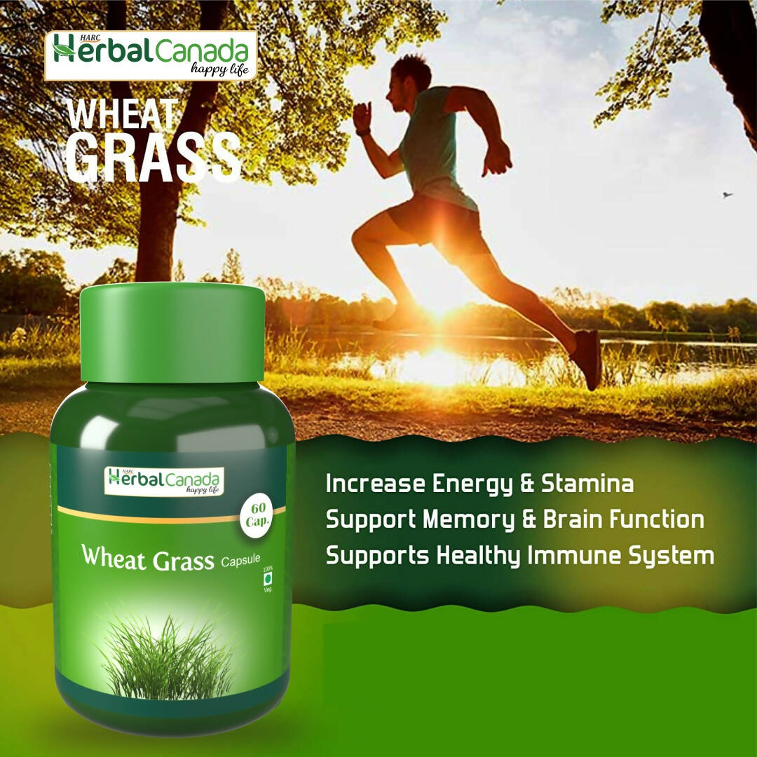 Herbal Canada Wheat Grass Capsules - Swadesiicart