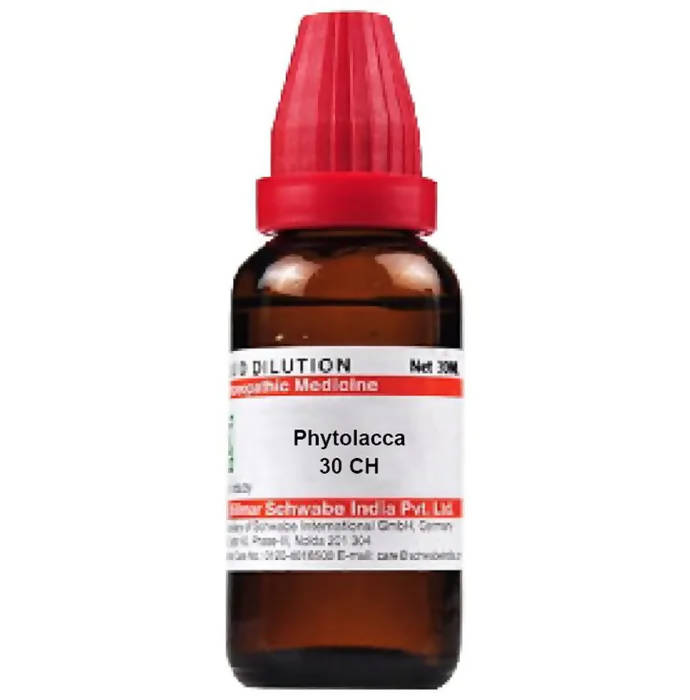 Dr. Willmar Schwabe India Phytolacca Dilution - Swadesiicart