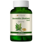 Bio Resurge Life Shallaki Boswellia Tablets - Bio Resurge