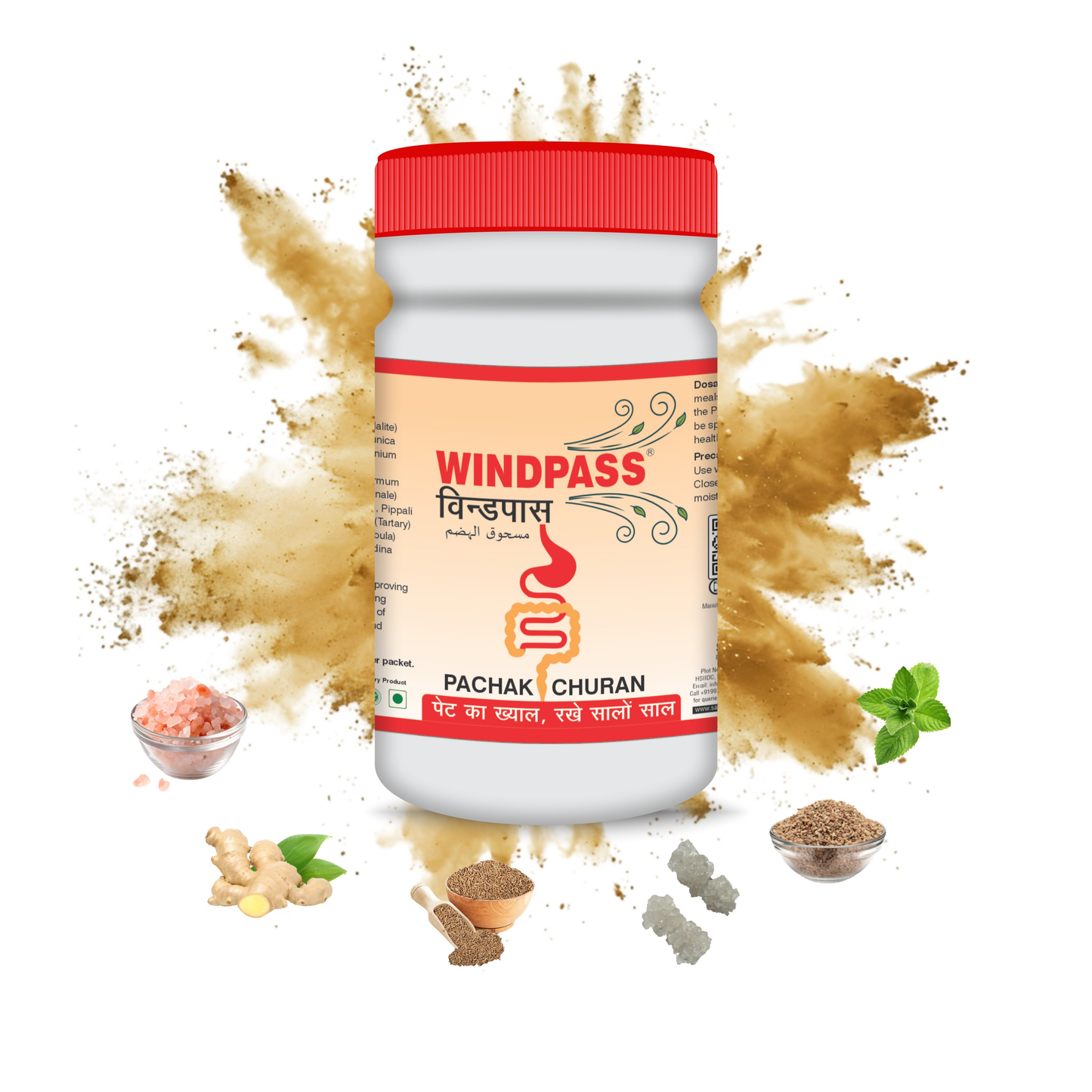 Satya Pharmaceuticals Ayurveda Windpass Pachak Churan | Swadesiicart