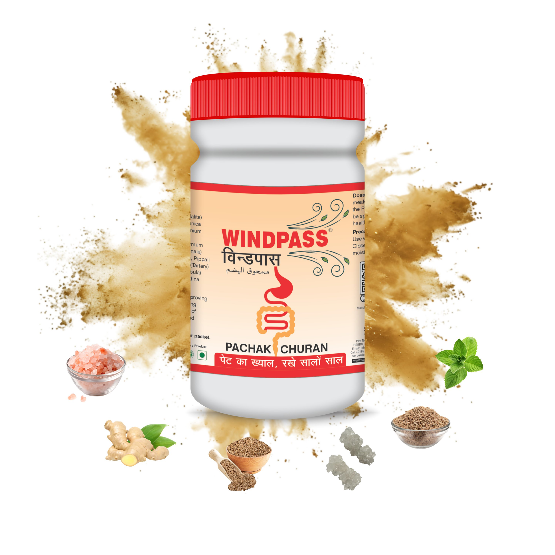 Satya Pharmaceuticals Ayurveda Windpass Pachak Churan | Swadesiicart
