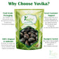 Yuvika Beej Kaunch Kala - Mucuna Pruriens - Black Kaunch Seeds - Cowhage | Swadesiicart