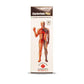Alakananda Herbals Cardorium Plus Ayurvedic Syrup - Swadesiicart