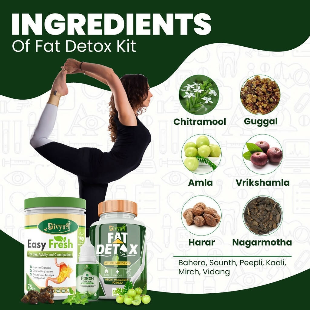 Divya Shree Fat Detox Capsule + Easy Fresh Powder & Punch Tulsi Drop Gas Combo Kit - Swadesiicart