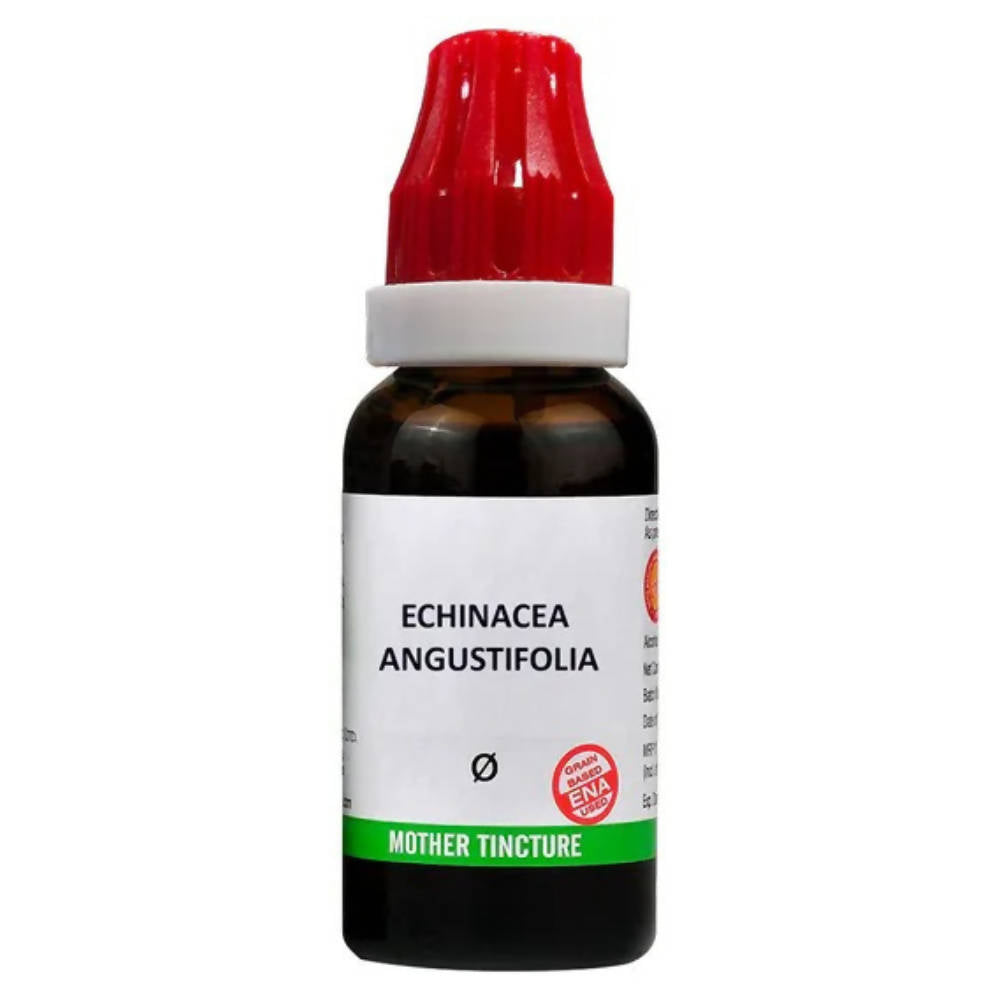 Bjain Homeopathy Echinacea Angustifolia Mother Tincture Q | Swadesiicart
