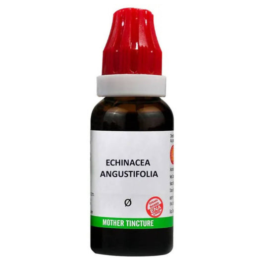 Bjain Homeopathy Echinacea Angustifolia Mother Tincture Q | Swadesiicart