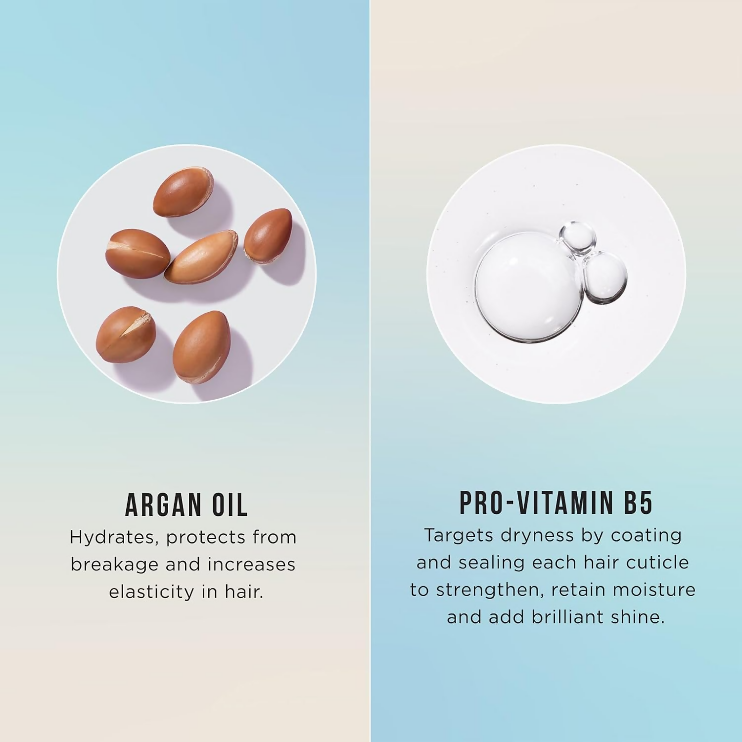 HASK Repairing Argan Oil Shampoo & Conditioner | Swadesiicart
