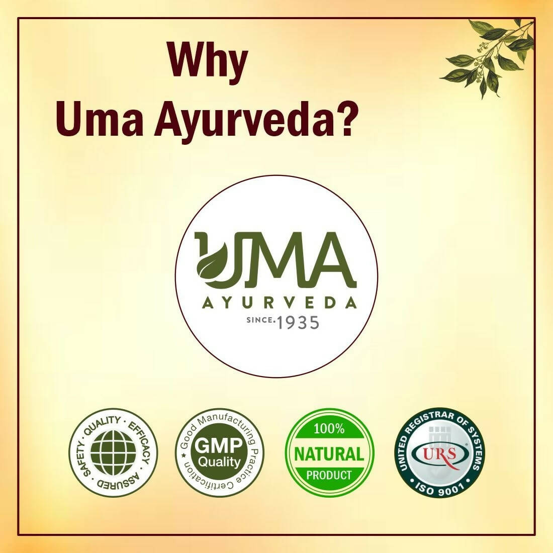 Uma Ayurveda Stonequit Tablets - Swadesiicart